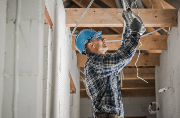 Best Electric Panel Repair  in Greenwood, MO